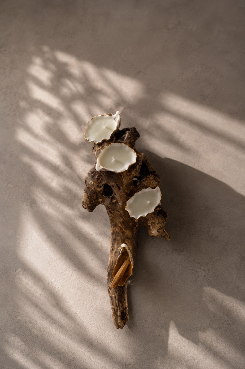 Oyster Candle Trio