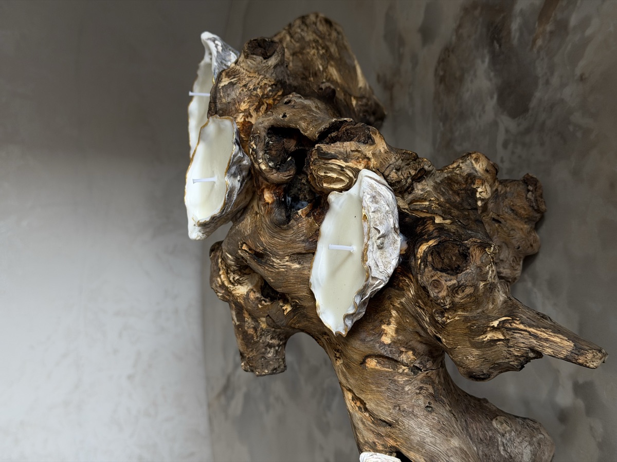 Oyster candles on driftwood